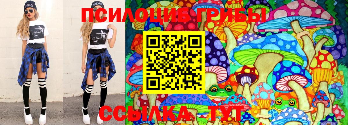 Урюпинск  Псилоцибиновые грибы Psilocybe  Вход с VPN 